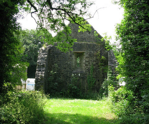 [Image: Remains of part of a small stone church building, surrounded by green grass, trees, and vines.]